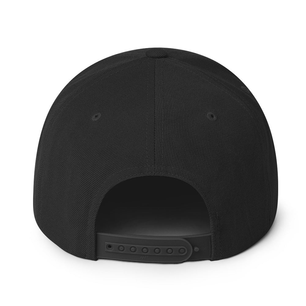 ALCH Snapback Hat