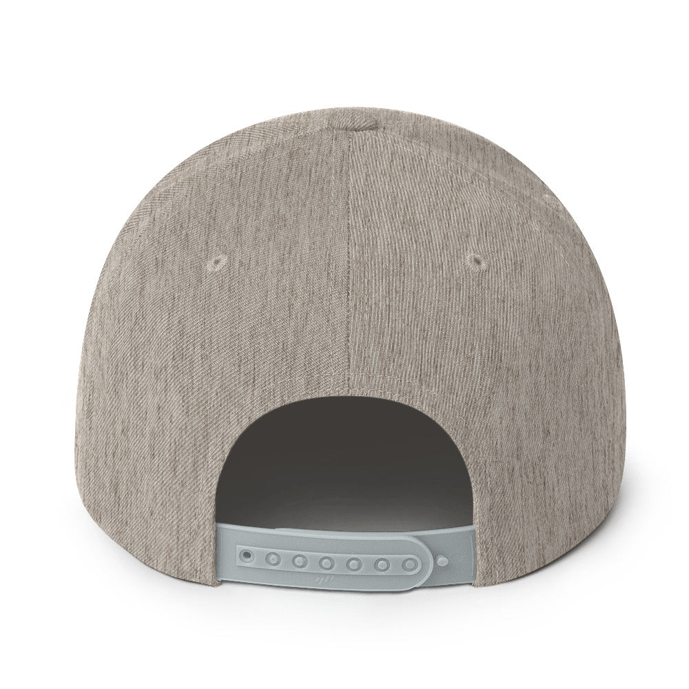 ALCH Snapback Hat