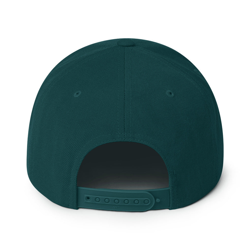 ALCH Snapback Hat