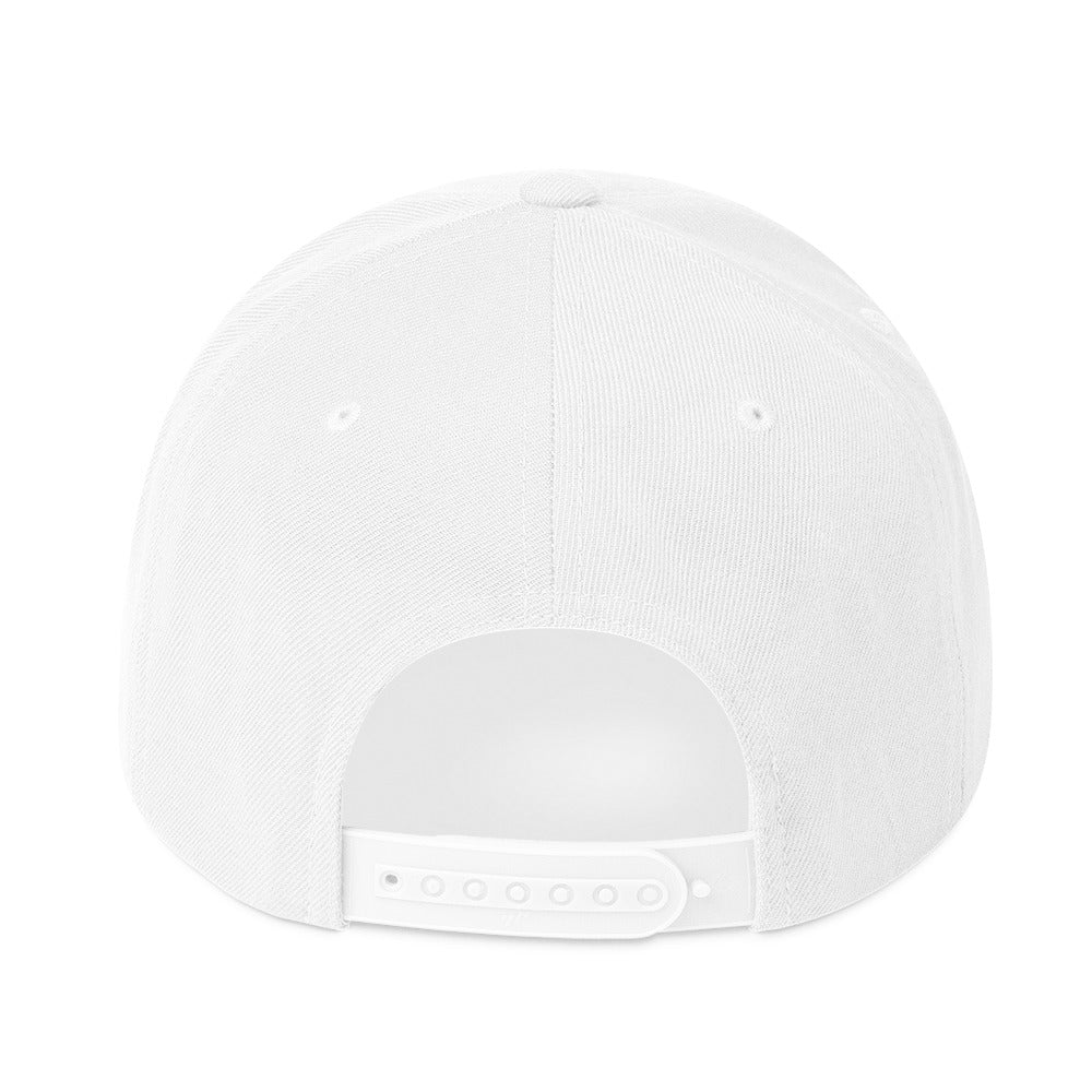 ALCH Snapback Hat