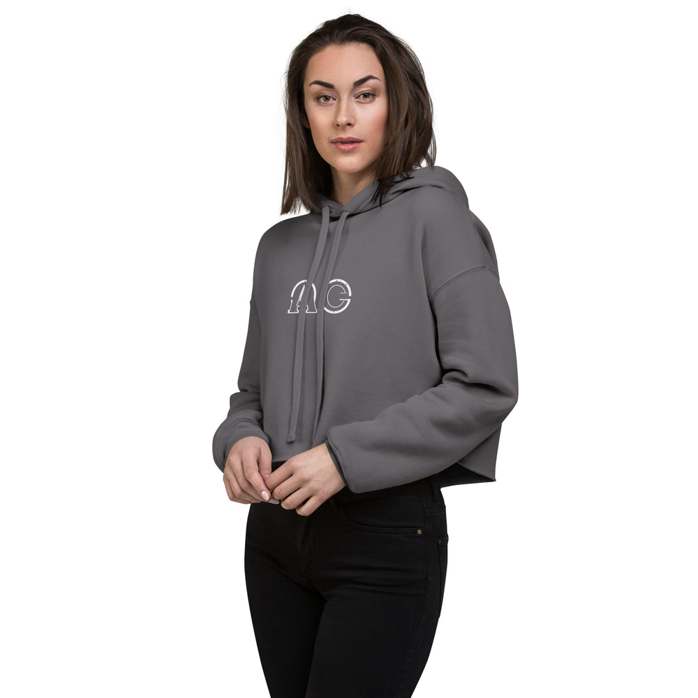 AC Crop Hoodie