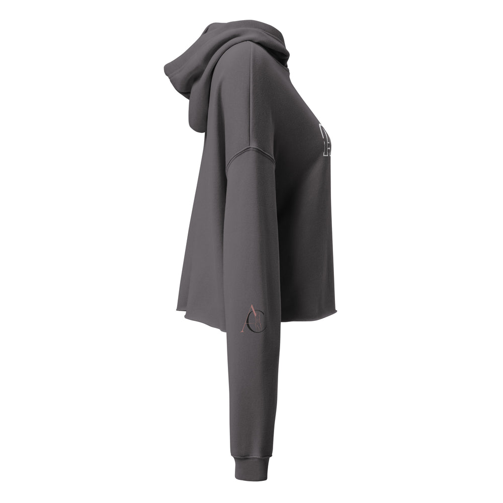 AC Crop Hoodie
